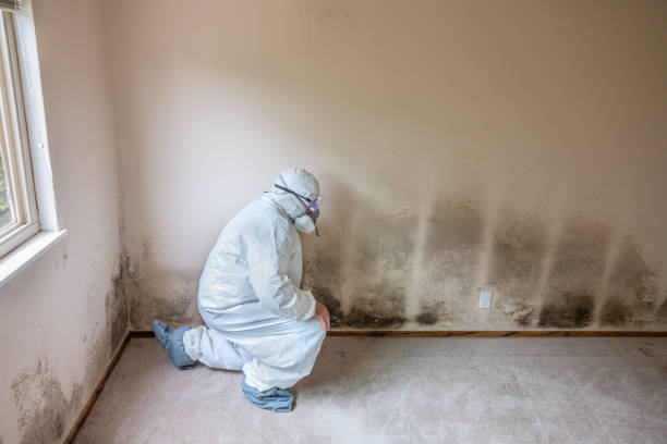 Crossville, AL Mold Removal Company