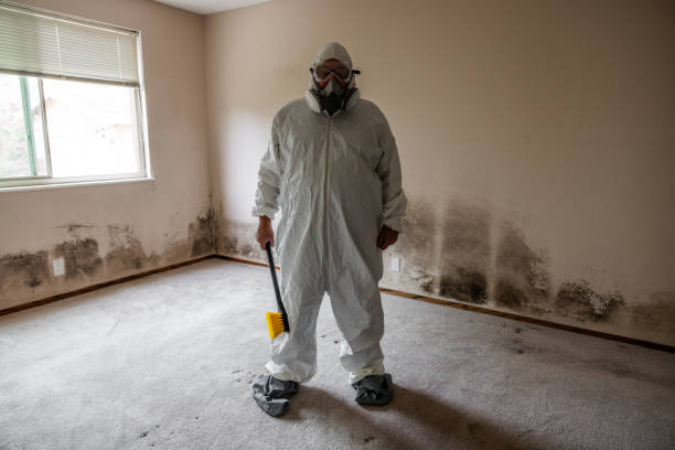 Water Damage Restoration in Crossville, AL
